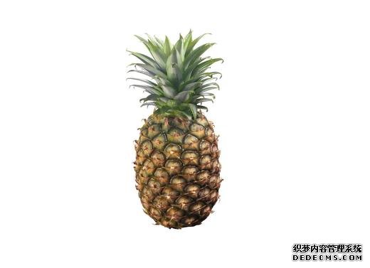 卧室摆放菠萝清洁室内空气 卧室摆放菠萝清洁室内空气