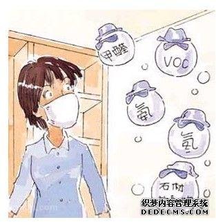 新房摆放什么植物 新房摆放什么植物